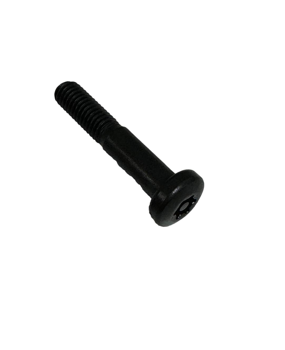 Delphi 7174-895D Screw